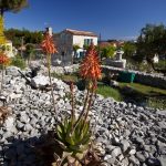 Foto: Turistična skupnost mesta Mali Lošinj