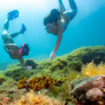 Foto: Anton Unković, TZ mjesta Ičići